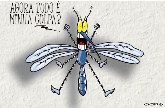 mosquito