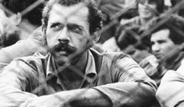 greve 1978