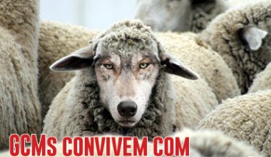 gcm lobo em pele de cordeiro